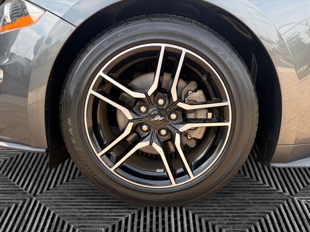 2019 Ford Mustang EcoBoost
