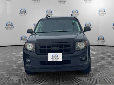 2009 Ford Escape XLT