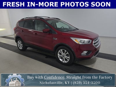2019 Ford Escape SEL