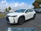 2023 Lexus UX 250h Base