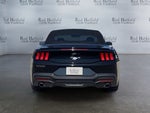 2024 Ford Mustang EcoBoost Premium Convertible